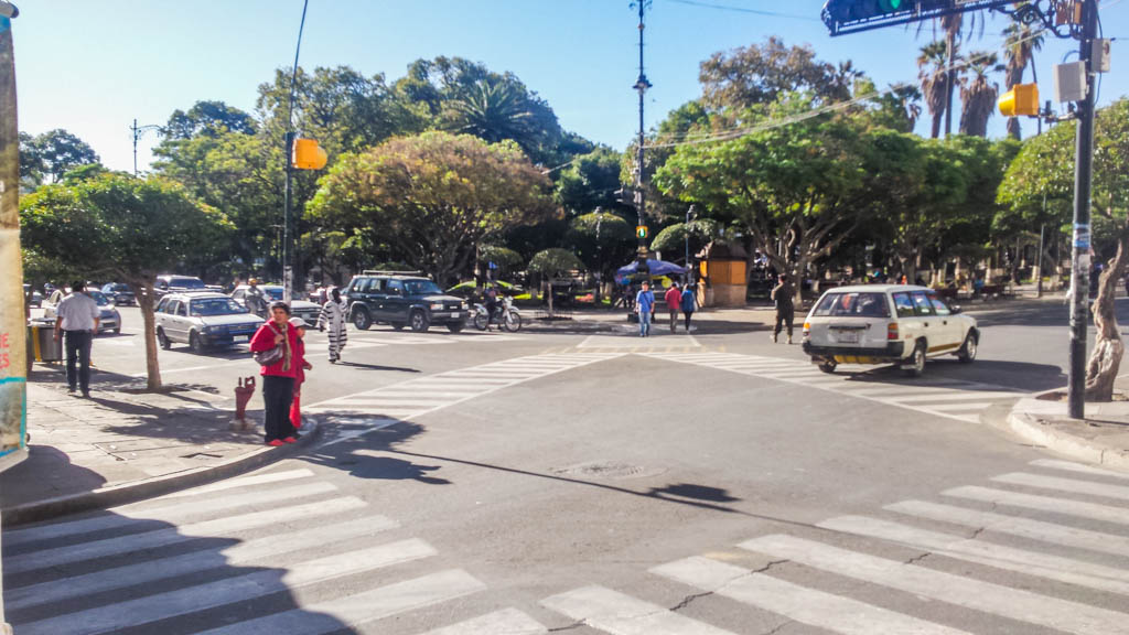 zebra at a crossing